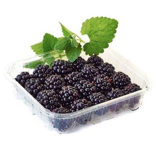 Mûres, la barquette