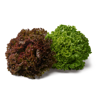 Laitue Batavia Rouge par Pièce