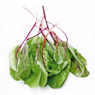 Jeune Pousse Betterave par Pièce