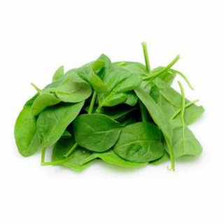 Jeune Pousse Epinard par Pièce