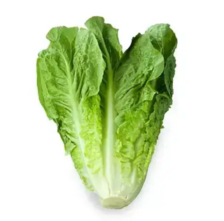 Laitue Romaine () par Pièce