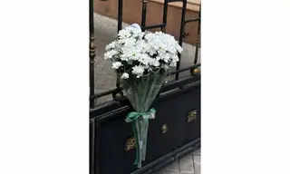 ქრიზანთემები ქოლგით