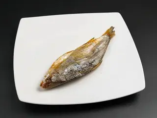Ոբլա