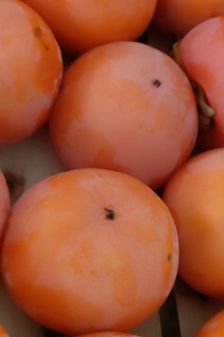 Jabanska jabuka 500g