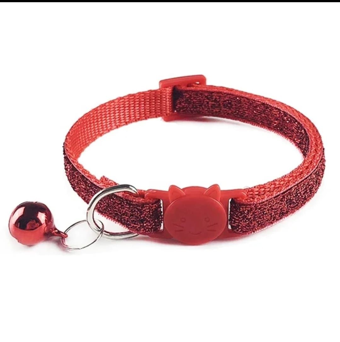 Collier Laisse et Harnais