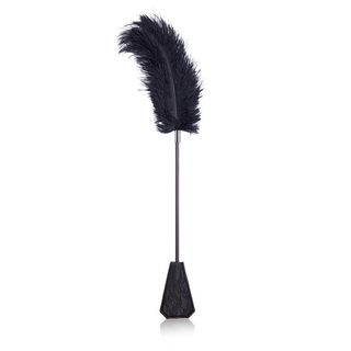 Latetobed: Ostrich Feather Tickler/lace Paddle Black (8436583793688)