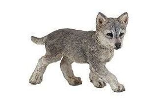 მგლის ლეკვი