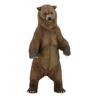 რუხი დათვი