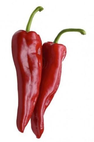 PAPRIKA CRVENA ŠILJA