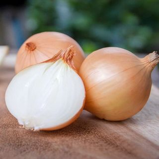 LUK CRNI STARI KRUPNI