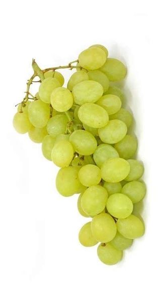 GROŽĐE BELO BEZSEMENO