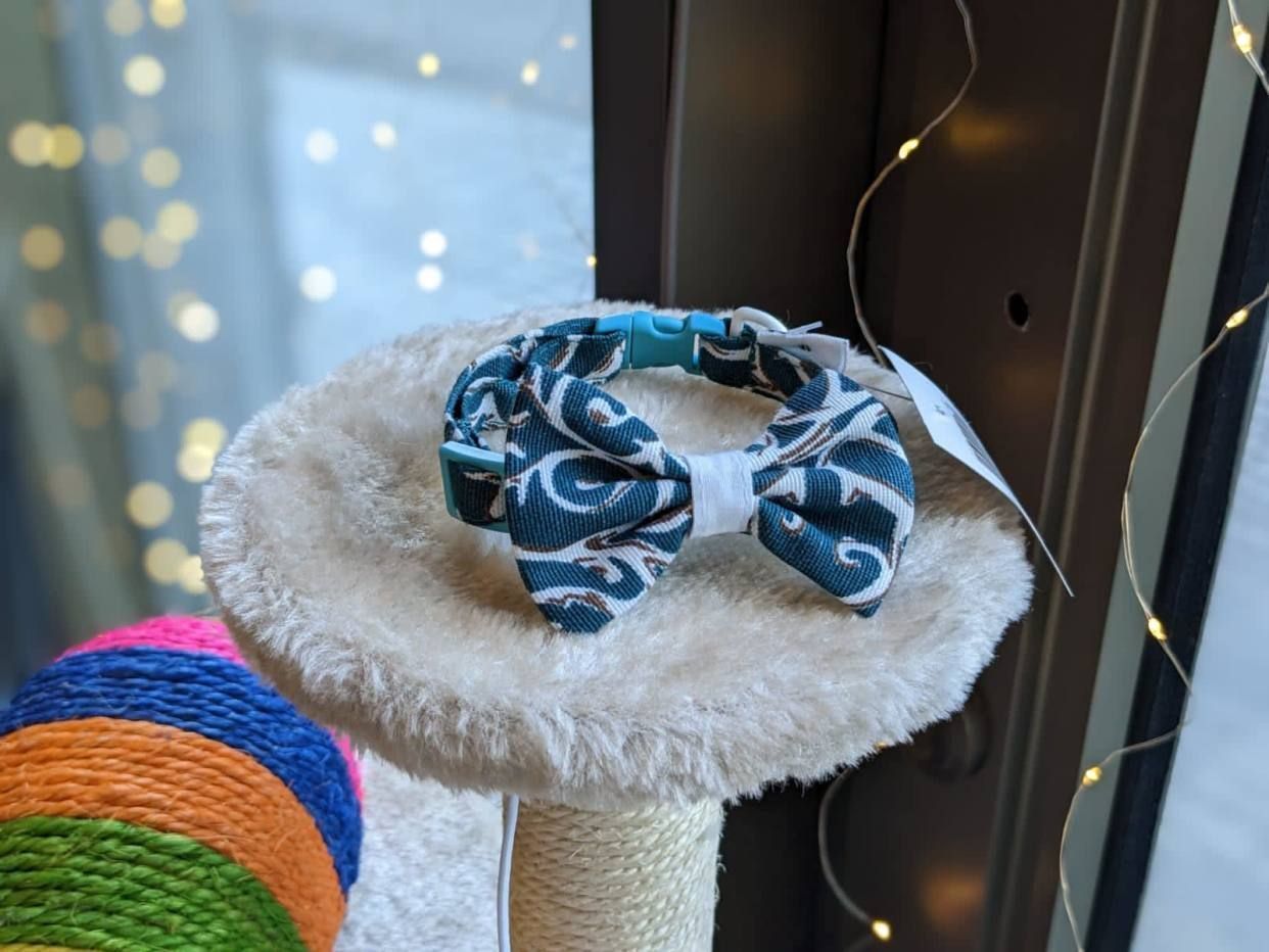 კატის საყელოები და საბელები