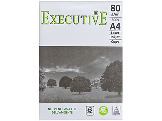 Paperline Executive 80 Gr - 362597 - 9003974454320