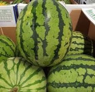 Watermelon Medium 1pc
