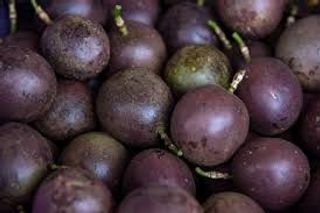 Passion Fruits Medium Pack 1pc