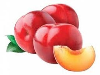 Imported Red Plum 1pc