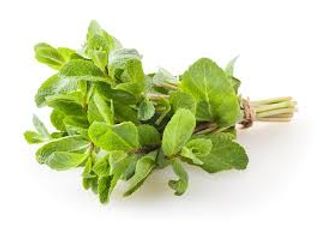 Hortelã – (molho 100g)