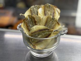 Жовстий смугастик