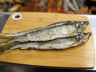 Корюшка далекосхідна (Казахстан)