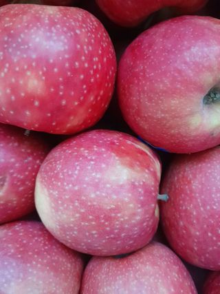 Pink lejdi jabuka 1kg