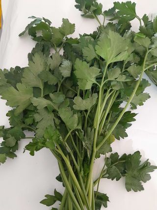 Peršun list 0.100gr