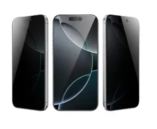 Green Lion 9H Steve Privacy Screen Protector for iP 17 Pro Max - Black