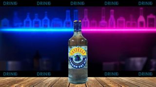 Gin Castegy 70cl (fresco)