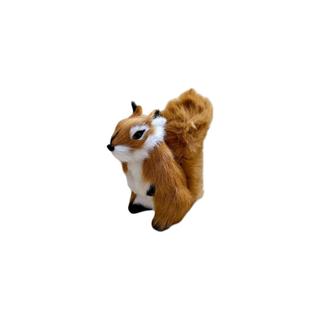ციყვი