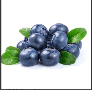 Borovnica domaca 500g