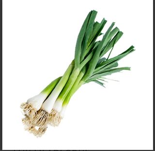 Mladi beli luk, veza