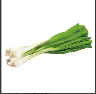 Mladi crni luk, veza