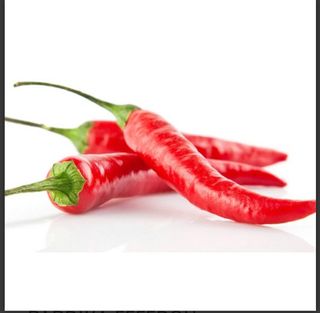 Ljuta, crvena, Italija