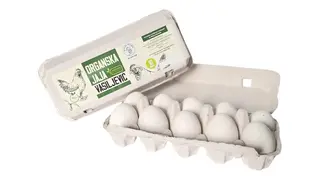 Organska jaja 10 kom