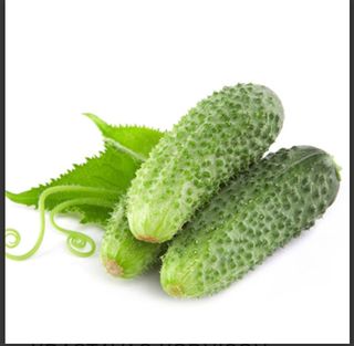 Krastavac salatar domaći 500 g