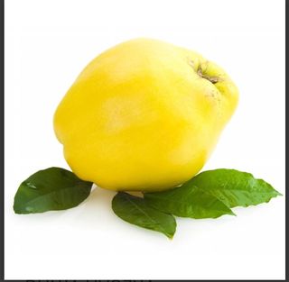 Dunja, turska, komad oko 300g