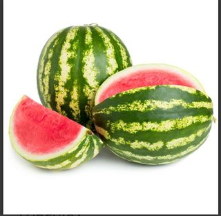 Mini lubenica komad 1.7KG