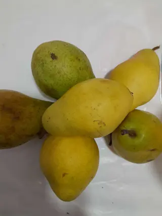 Mix kruška 1kg