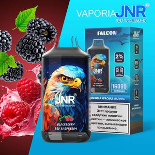 JNR 16K - BLACK ICE - 20MG