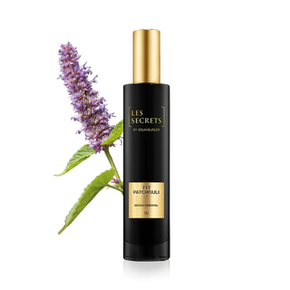 Apa de Parfum Patchouli 717 Les Secrets, Unisex, 50ml