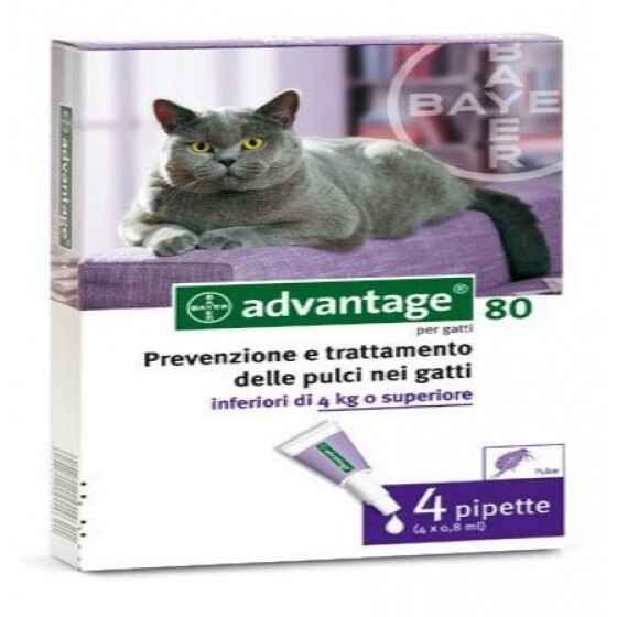 Higiene e Cuidados Animais