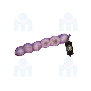 Ail en filet gros calibre x 6 bulbes - FILIERE M