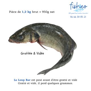 Loup bar grattée et vidée (1,2kg)