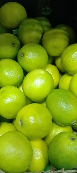 Limeta