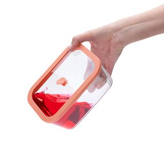 Staklene posude sa vakum poklopcem+ručna pumpa Status Viva 4-djelni set (Mint)