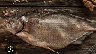 კაპარჭინა ჩებაკი ქვირითიანი