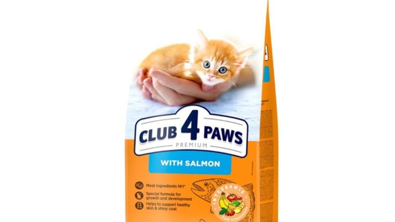 მშრალი საკვები კატის