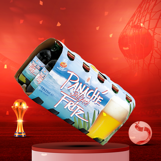 Offre Biere Blonde 10X25Cl Panache Lami Fritz