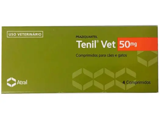 Calçado e Palmilhas