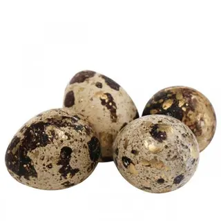 OEUFS DE CAILLES LAPINA 24P