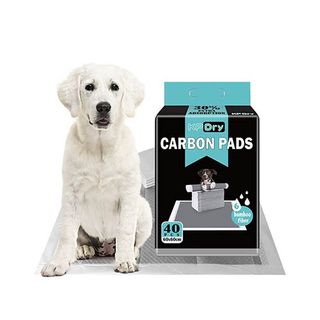 Training Pad with Carbon 60x60cm (40pcs Pack)